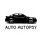 Auto Autopsy - Home